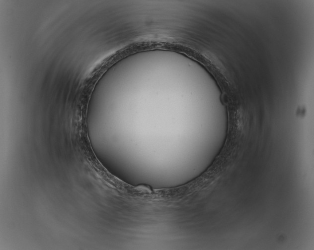 X0000111530872200907281400