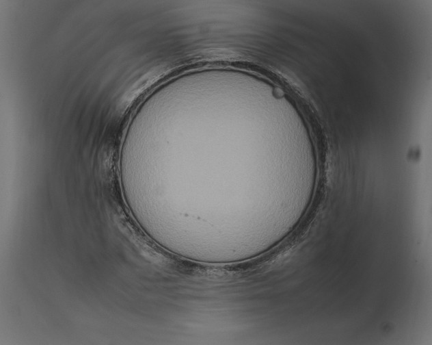 X0000111530873200907281400