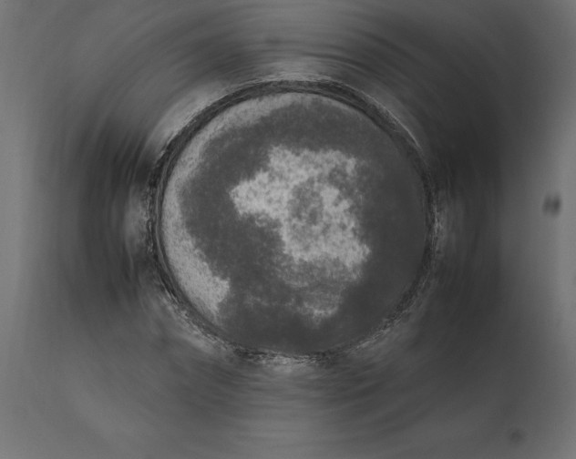 X0000111530874200907281400