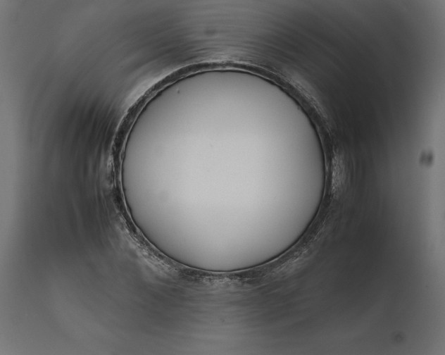 X0000111530876200907281400