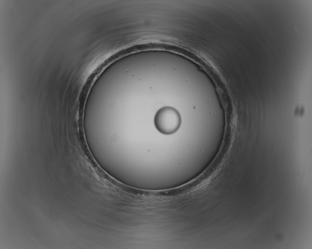 X0000111530877200907281400