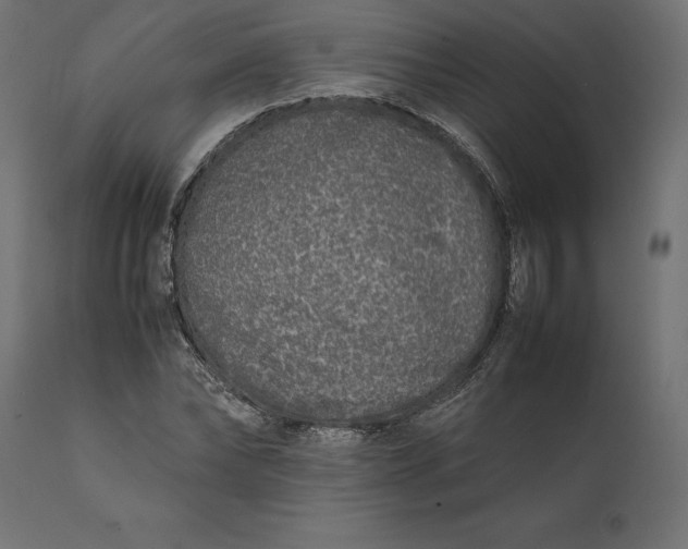 X0000111530878200907281400