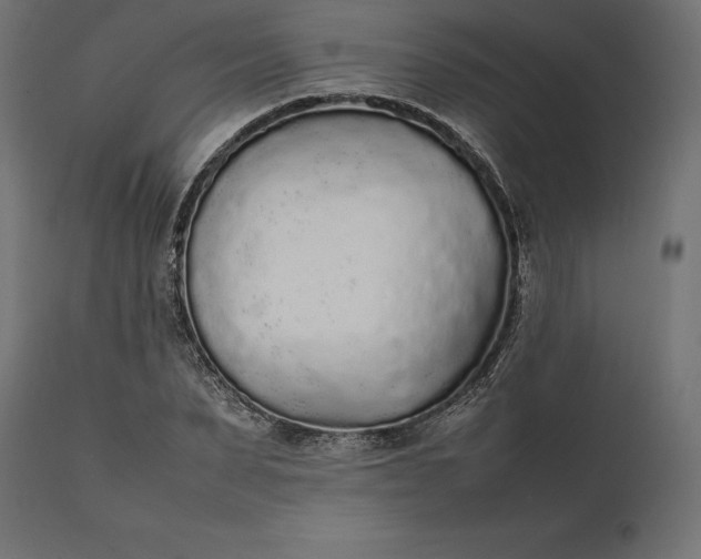 X0000111530879200907281400