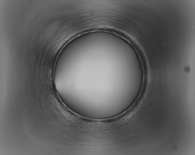 X0000111530881200907281400