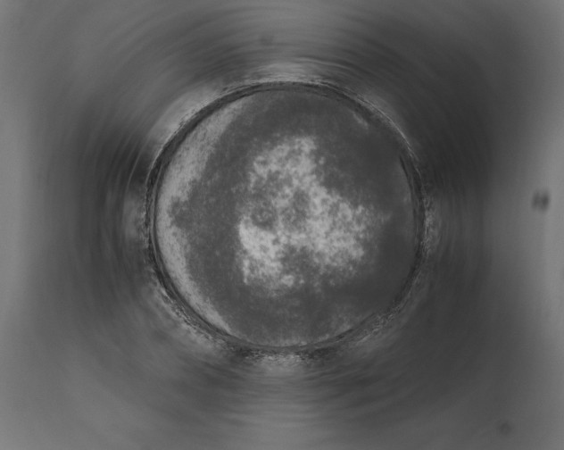 X0000111530882200907281400