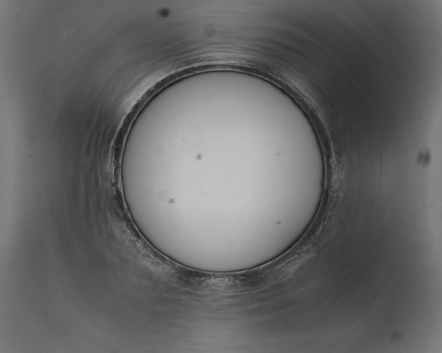 X0000111530883200907281400