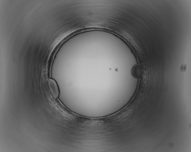 X0000111530884200907281400