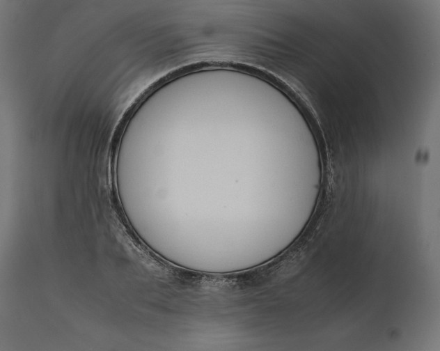 X0000111530887200907281400