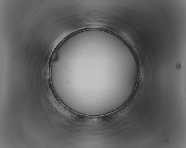 X0000111530891200907281400