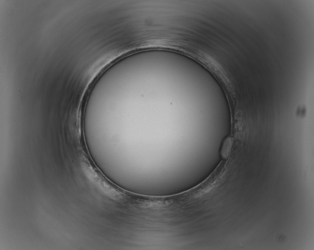 X0000111530892200907281400