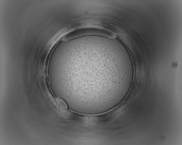 X0000111530893200907281400