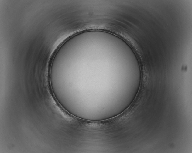 X0000111530894200907281400