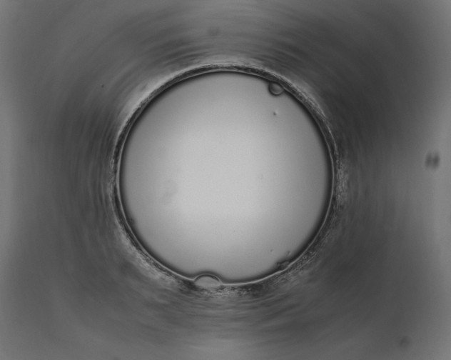 X0000111530895200907281400