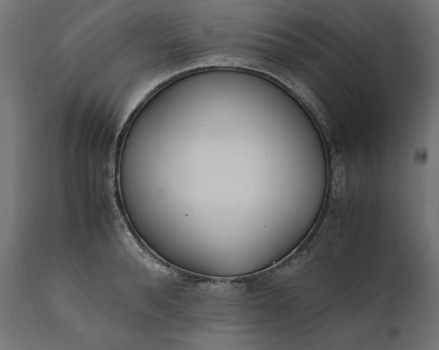 X0000111530896200907281400