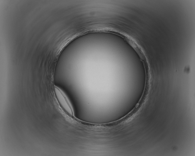 X0000111530897200907281400