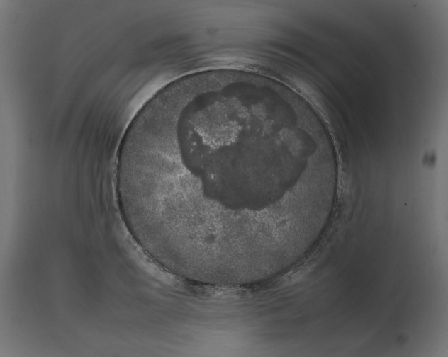 X0000111530899200907281400