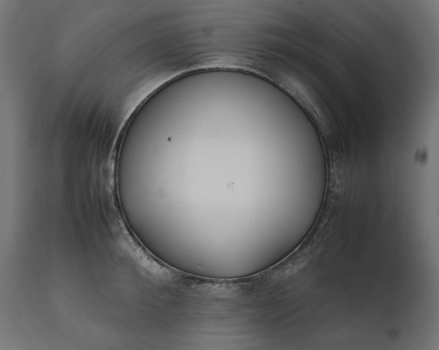 X0000111530900200907281400