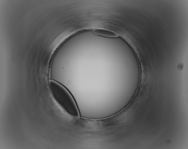 X0000111530901200907281400