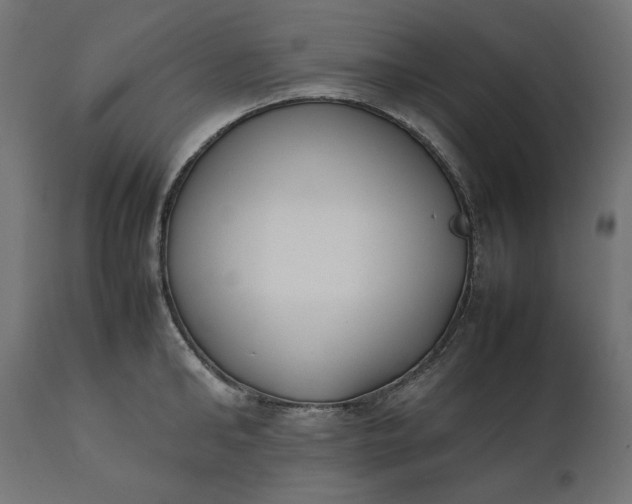 X0000111530902200907281400