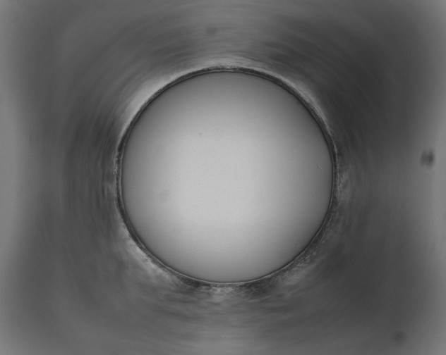 X0000111530903200907281400