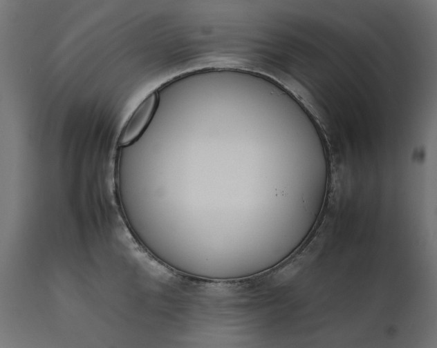 X0000111530904200907281400