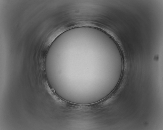 X0000111530905200907281400