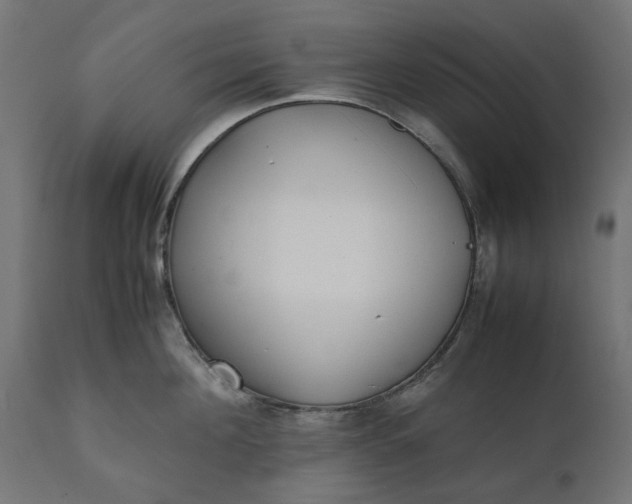 X0000111530908200907281400