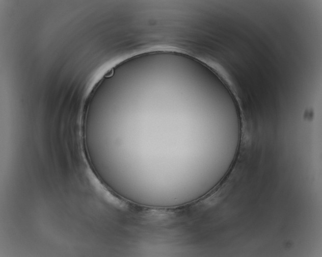 X0000111530910200907281359