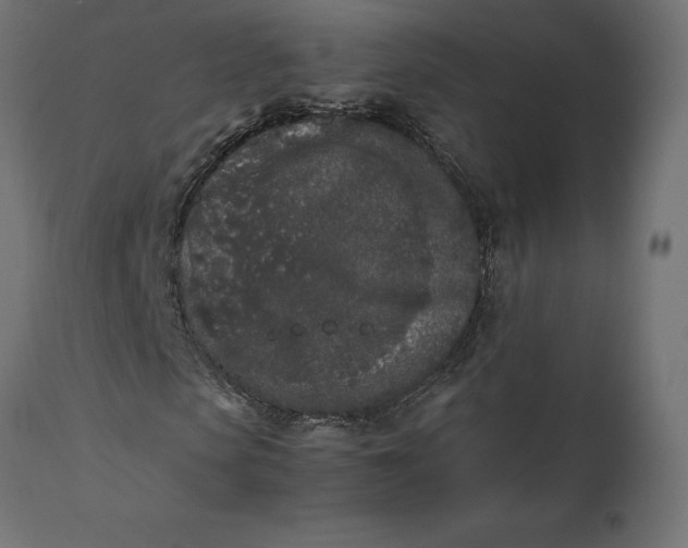 X0000111530913200907281359