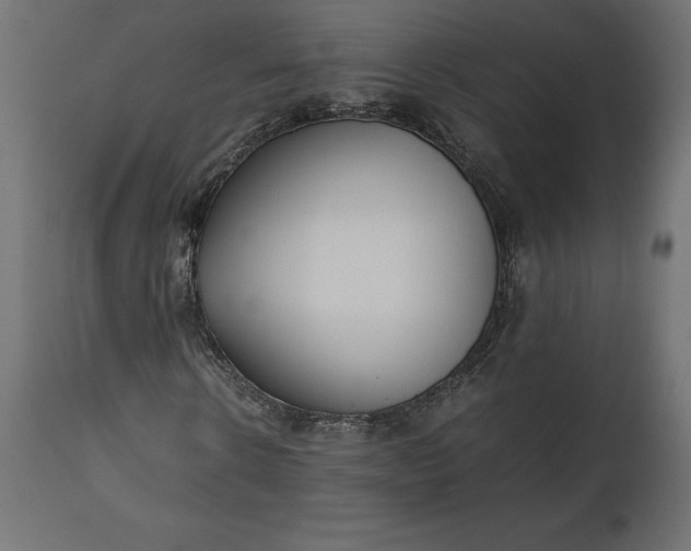 X0000111530914200907281359