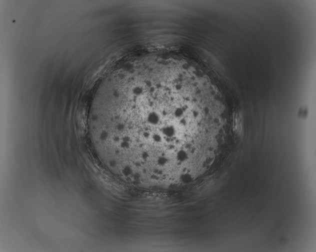 X0000111530915200907281359