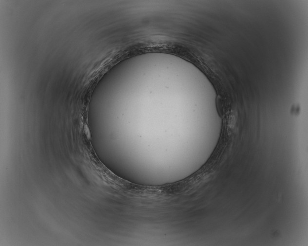 X0000111530916200907281359