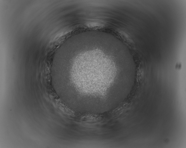 X0000111530917200907281359