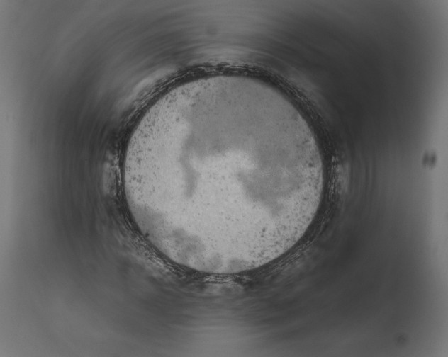 X0000111530918200907281359