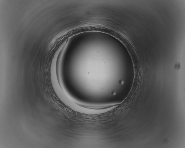 X0000111530920200907281359