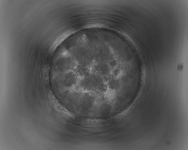 X0000111530921200907281359