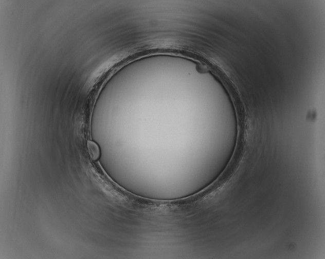 X0000111530922200907281359