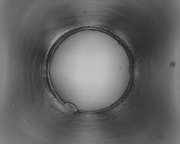 X0000111530924200907281359