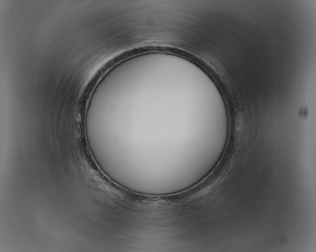 X0000111530926200907281359