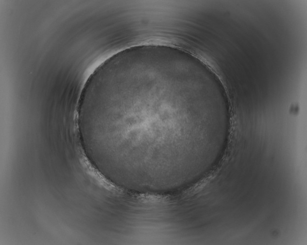 X0000111530928200907281359