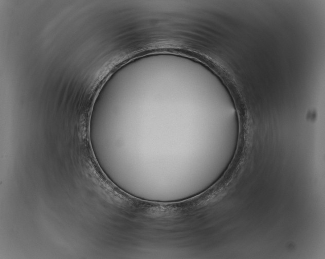 X0000111530929200907281359