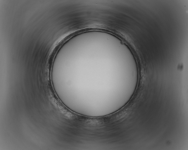 X0000111530931200907281359