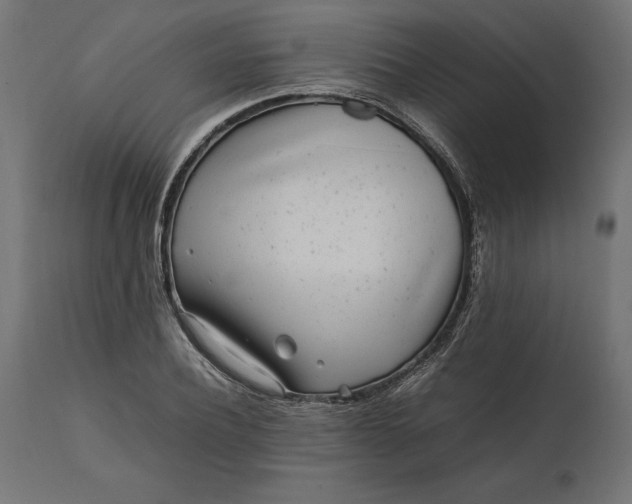 X0000111530932200907281359