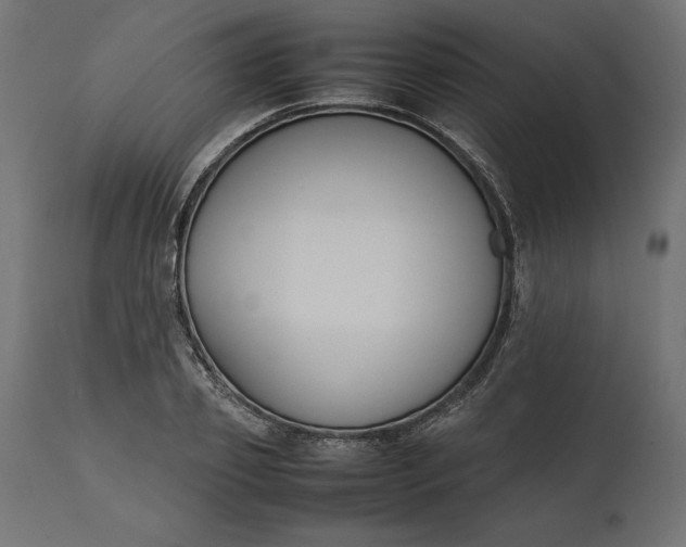 X0000111530933200907281359