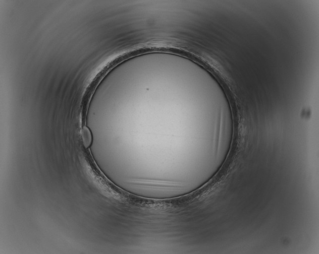 X0000111530934200907281359