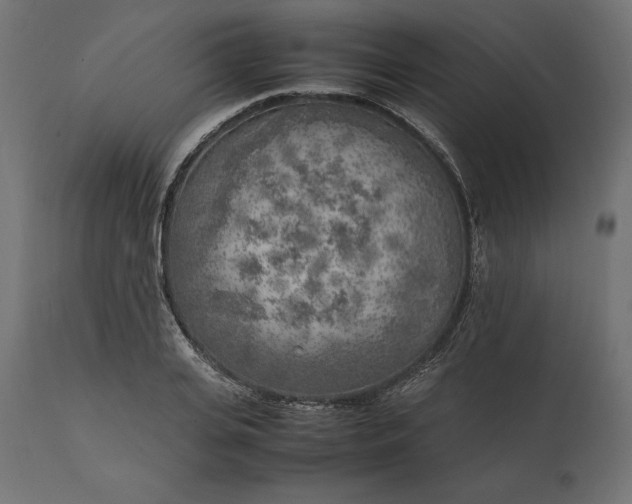 X0000111530935200907281359