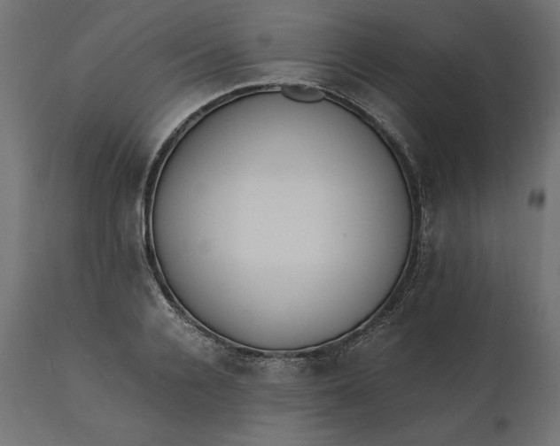 X0000111530936200907281359