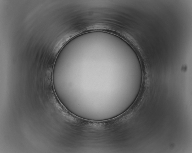 X0000111530937200907281359