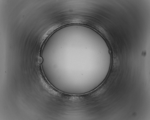 X0000111530938200907281359