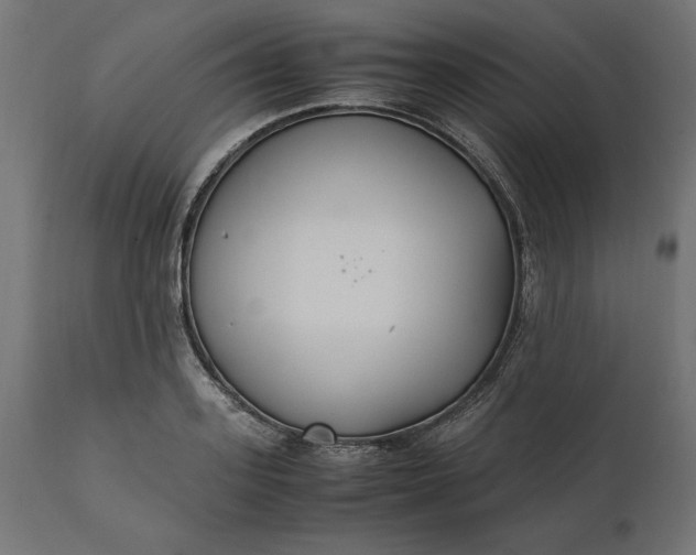 X0000111530939200907281359